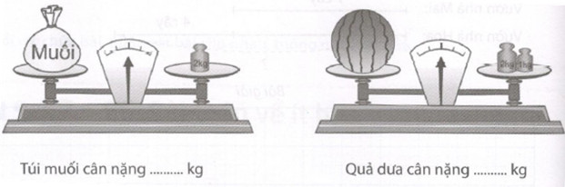 Giải Cùng em học Toán lớp 2 Tuần 7 - Tiết 1