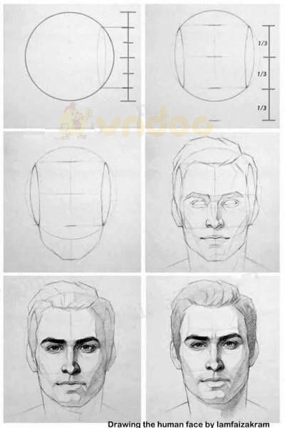 Soạn Mĩ thuật lớp 8 Bài 18: Vẽ theo mẫu – Vẽ chân dung