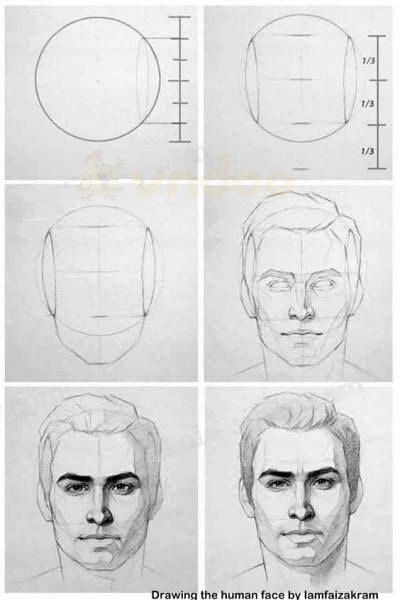 Soạn Mĩ thuật lớp 8 Bài 18: Vẽ theo mẫu – Vẽ chân dung