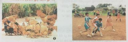 Hoạt động ứng dụng Giải bài 11C Vnen