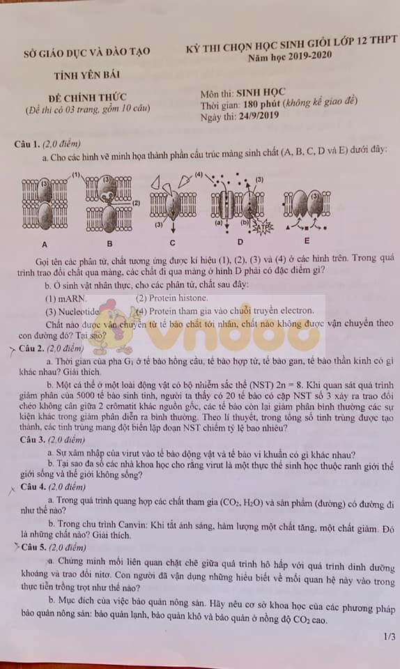 Đề Thi Học Sinh Giỏi Lớp 12 Môn Sinh Năm Học 2019 2020 Tỉnh Yên Bái Đề Thi Học Sinh Giỏi Môn 8219