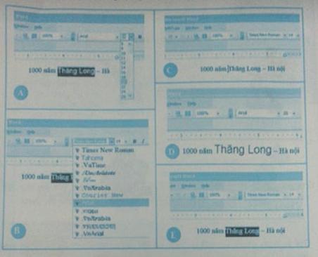 Thay đổi cỡ chữ và phông chữ