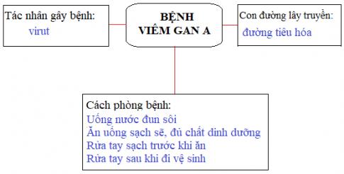 Phòng bệnh viêm gan A