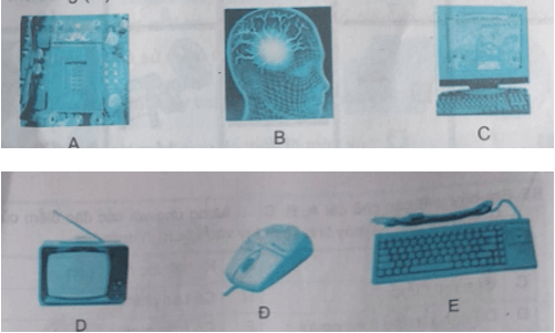 Giải SBT Tin học 3 - Bài 1: Người bạn mới của em