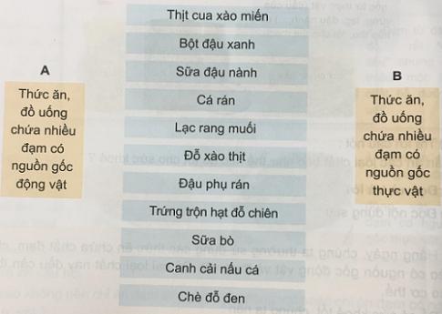 Cần ăn thức ăn chứa đạm, chất béo như thế nào để cơ thể khỏe mạnh?