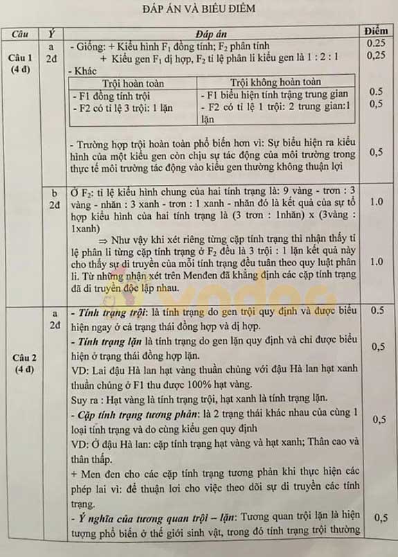 Đề thi chọn đội tuyển học sinh giỏi lớp 9 môn Sinh học huyện Vũ Quang, Hà Tĩnh năm học 2019 - 2020