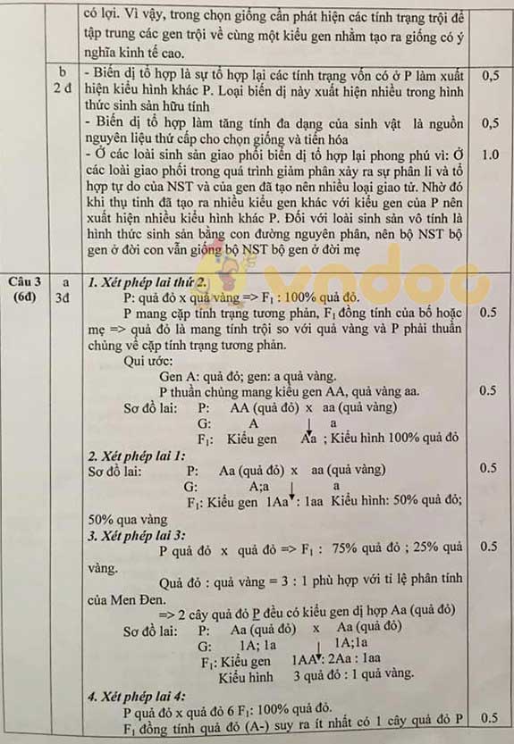 Đề thi chọn đội tuyển học sinh giỏi lớp 9 môn Sinh học huyện Vũ Quang, Hà Tĩnh năm học 2019 - 2020