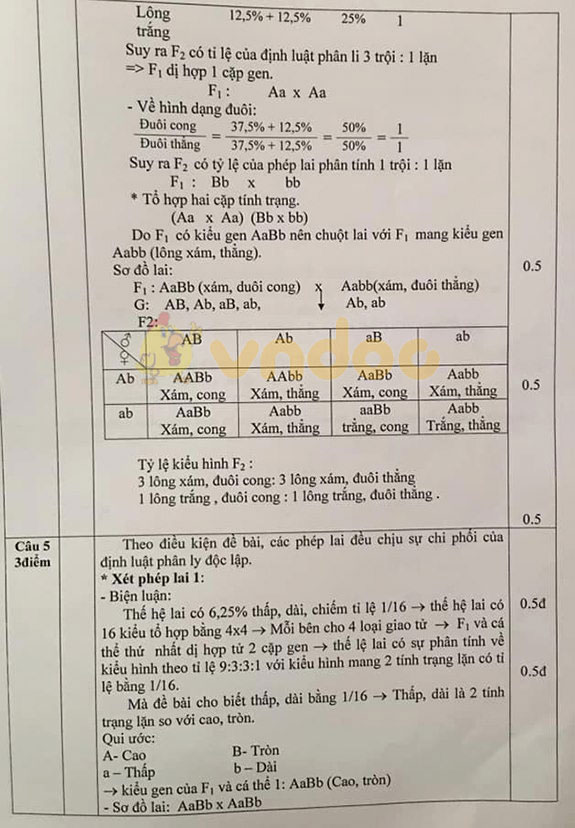 Đề thi chọn đội tuyển học sinh giỏi lớp 9 môn Sinh học huyện Vũ Quang, Hà Tĩnh năm học 2019 - 2020