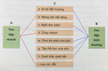 Giải bài 4: Cần làm gì để giữ gìn, bảo vệ cơ quan tuần hoàn?