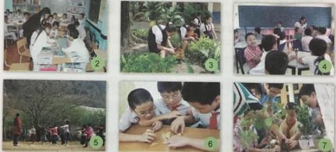 Giải bài 10: Hoạt động của chúng em ở trường