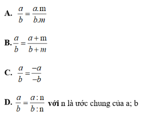 chuyên đề toán 6