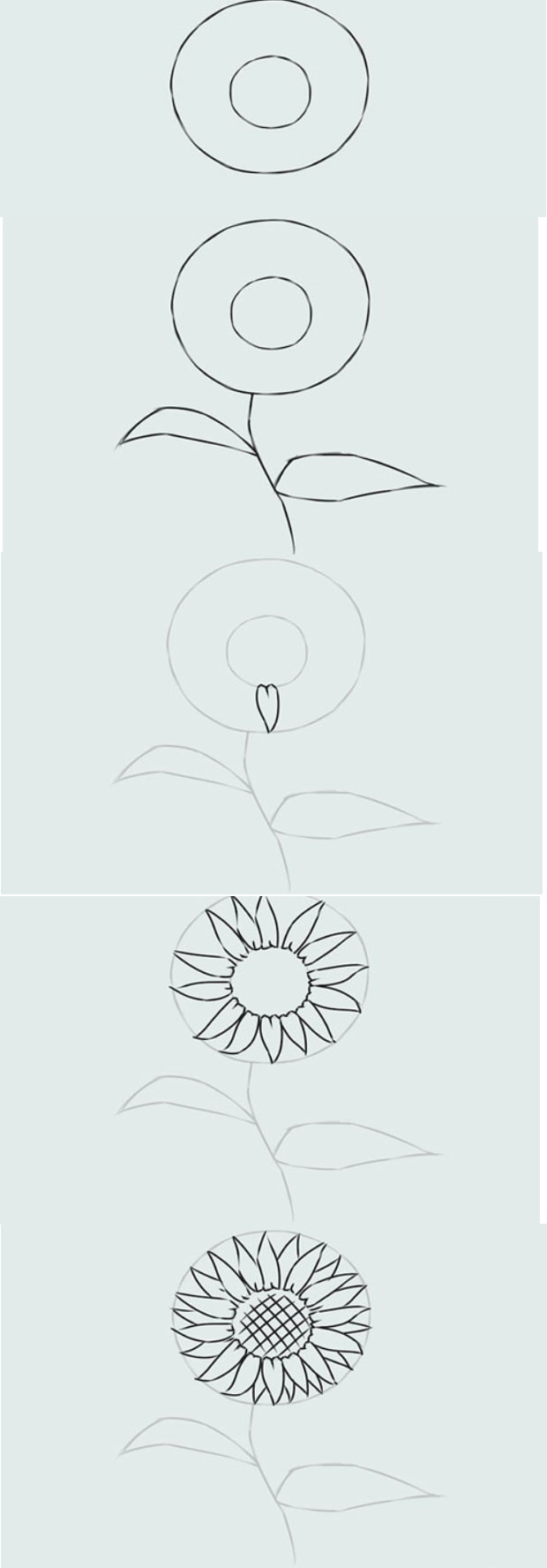 Cách vẽ hoa hướng dương