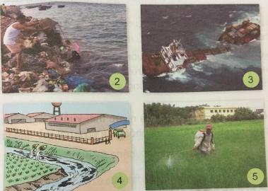 Giải Khoa học lớp 4 VNEN