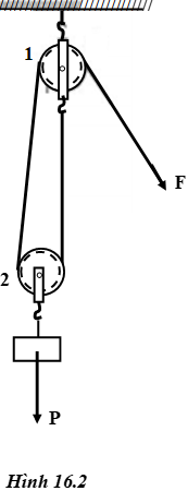 Giải VBT Vật lý lớp 6 - Bài 16: Ròng rọc