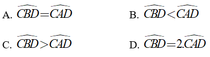 Trắc nghiệm: Trường hợp bằng nhau thứ hai của tam giác: cạnh - góc - cạnh