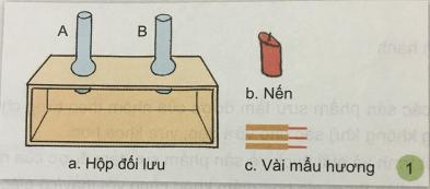 Giải Khoa học lớp 4 VNEN bài Gió, bão