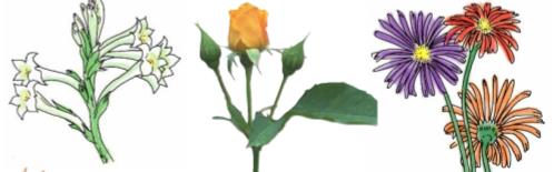 Giải SGK Tự nhiên và xã hội 1 bài 23