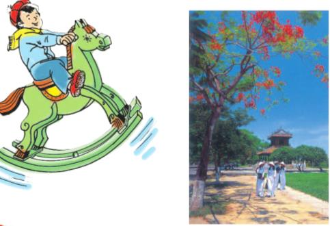 Giải SGK Tự nhiên và xã hội 1 bài 24