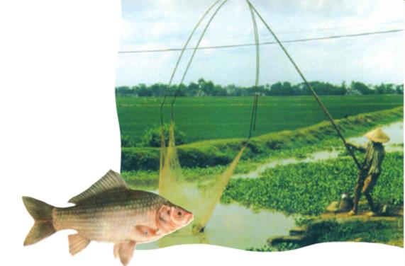 Giải SGK Tự nhiên và xã hội 1 bài 25