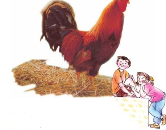 Giải SGK Tự nhiên và xã hội 1 bài 26