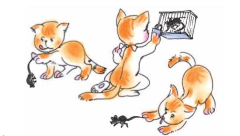 Giải SGK Tự nhiên và xã hội 1 bài 27