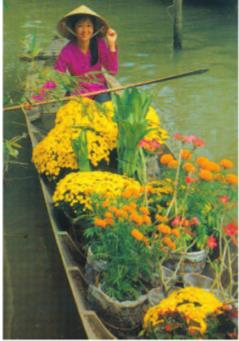 Giải SGK Tự nhiên và xã hội 1 bài 29