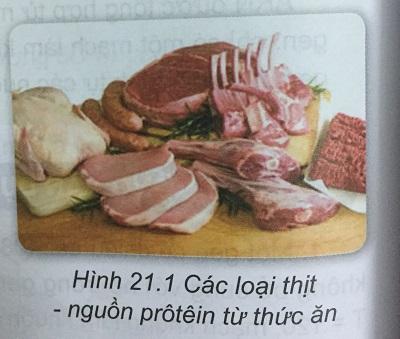 Khoa học tự nhiên 9 Bài 21: Mối quan hệ giữa gen và tính trạng