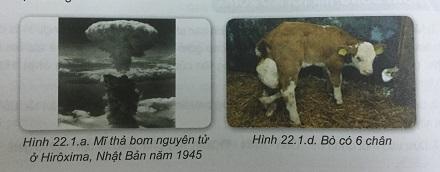 Khoa học tự nhiên 9 Bài 22: Đột biến gen