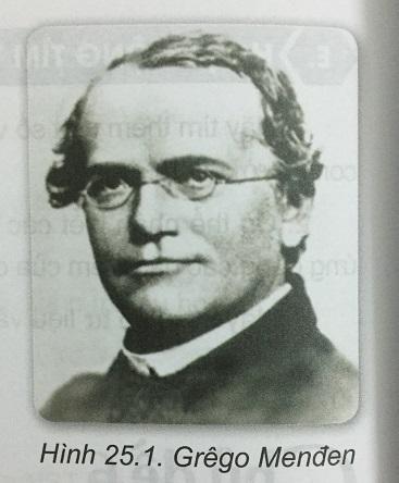 Khoa học tự nhiên 9 Bài 25: Di truyền học Menđen - Lai một cặp tính trạng