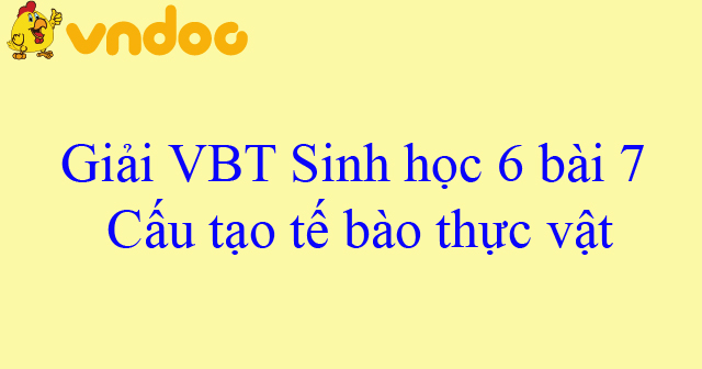 Giải Vbt Sinh Học Lớp 6 Bài 7: Cấu Tạo Tế Bào Thực Vật - Giải Bài Tập Môn Sinh  Học Lớp 6 - Vndoc.Com