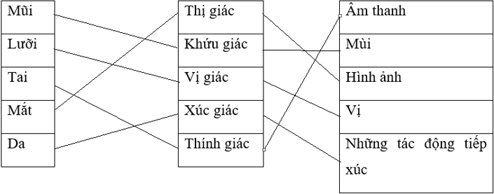 Giải SBT Tin học 3 - Bài 2: Thông tin xung quanh ta