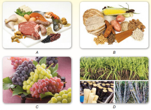 Khoa học tự nhiên 9 bài 43: Protein