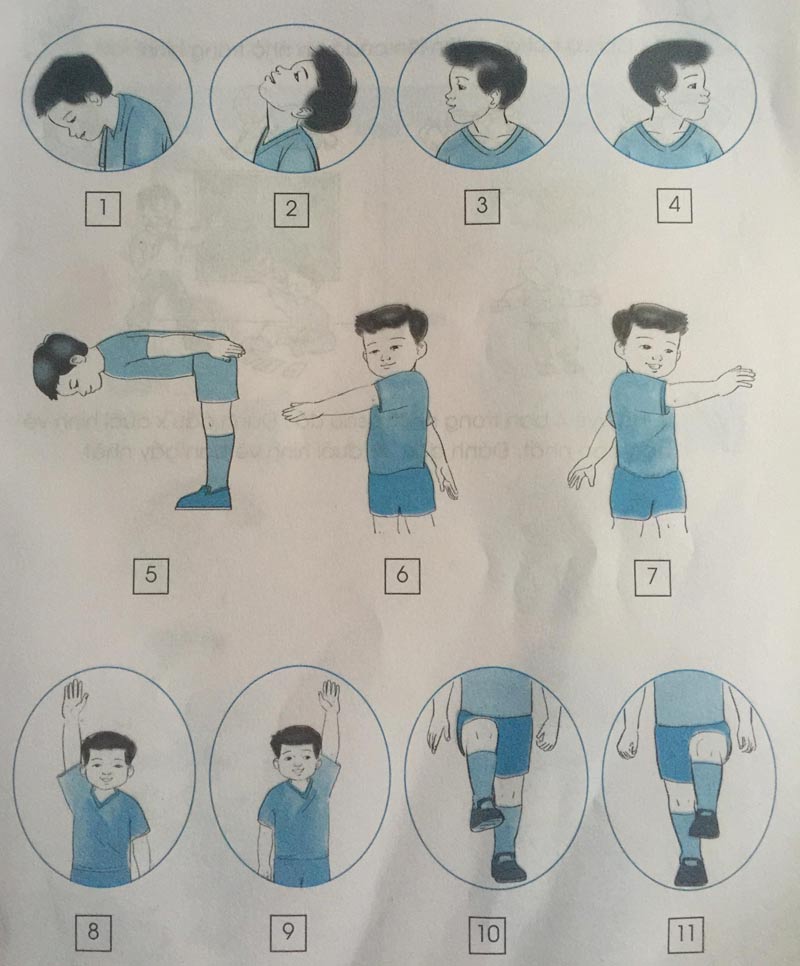 Giải vở bài tập Tự nhiên và Xã hội 1 bài 1: Cơ thể chúng ta