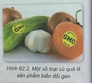 Khoa học tự nhiên 9 bài 62: Công nghệ gen