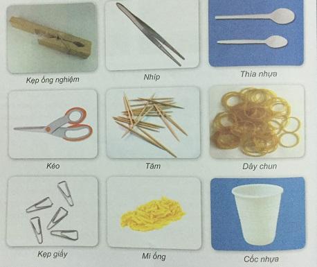 Khoa học tự nhiên 9 bài 65: Sinh vật thích nghi kì diệu với môi trường