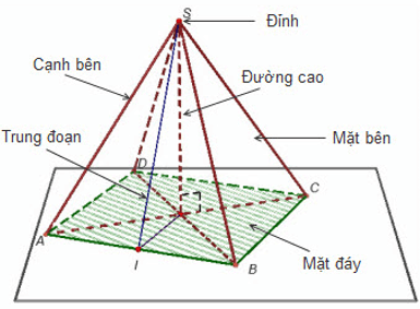 Hình chóp tứ giác đều là gì  Phân biệt với chóp tam giác đều  Tính chất  hình