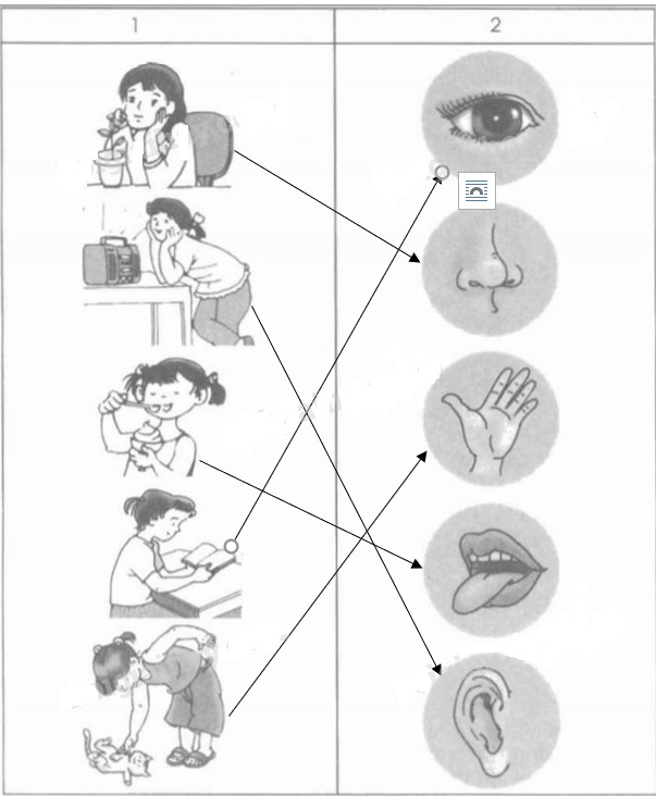 Giải vở bài tập Tự nhiên và Xã hội 1 bài 2