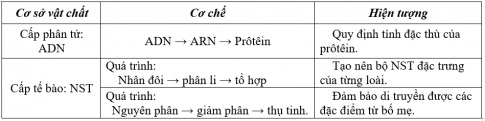 Khoa học tự nhiên 9 bài 68: Tổng kết chương trình sinh học toàn cấp trung học cơ sở