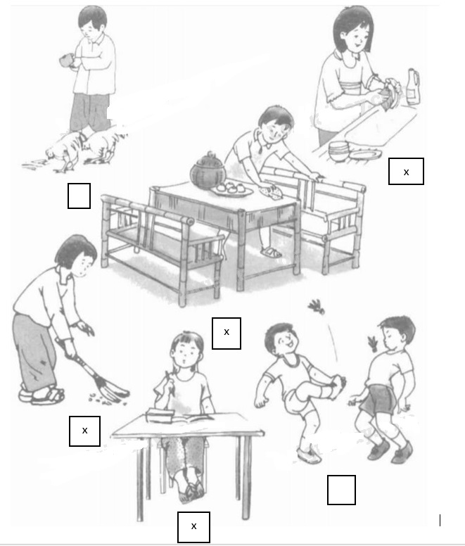 Giải vở bài tập Tự nhiên và Xã hội 1 bài 13