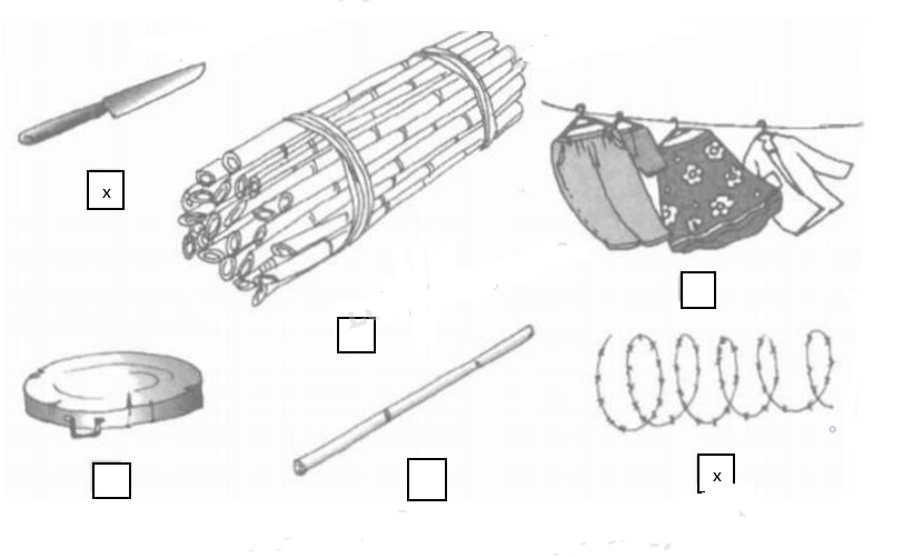 Giải vở bài tập Tự nhiên và Xã hội 1 bài 14: An toàn khi ở nhà