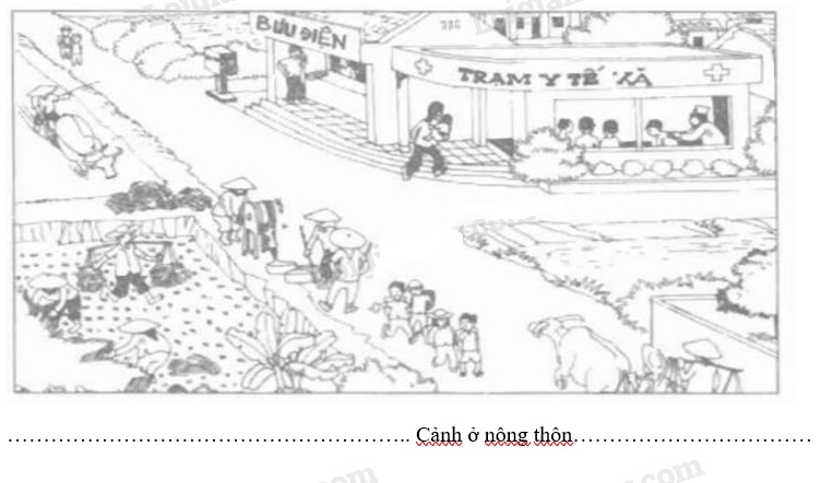 Giải vở bài tập Tự nhiên và Xã hội 1 bài 18 Câu 2