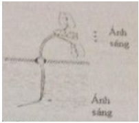 25 câu trắc nghiệm Chương Cảm ứng câu 3