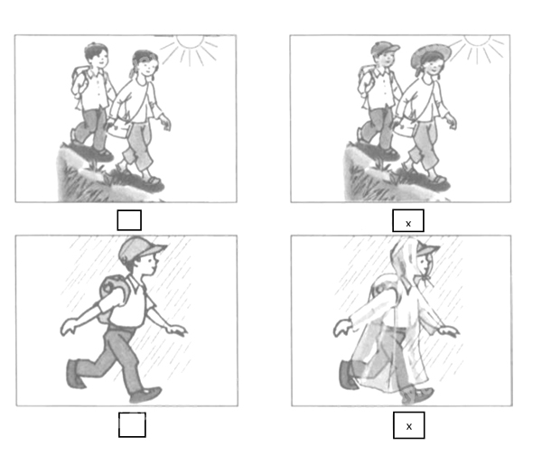 Giải vở bài tập Tự nhiên và Xã hội 1 bài 30