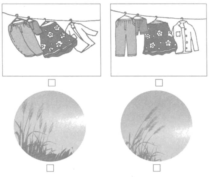 Giải vở bài tập Tự nhiên và Xã hội 1 bài 32