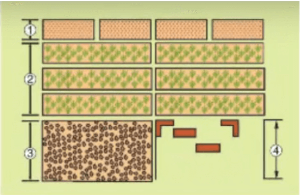 Lý thuyết, Trắc nghiệm Công nghệ 7