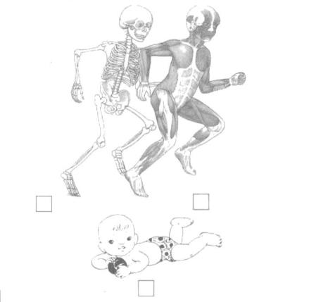 Giải Vở bài tập Tự nhiên và xã hội 2 bài 1