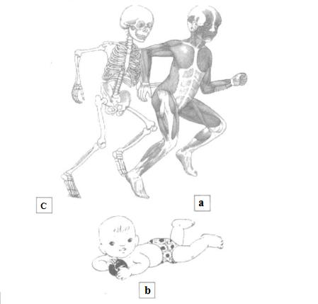Giải Vở bài tập Tự nhiên và xã hội 2 bài 1