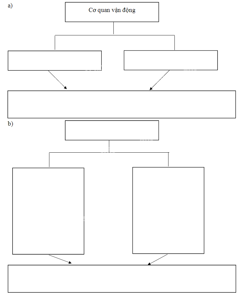 Giải Vở bài tập Tự nhiên và xã hội 2 bài 10