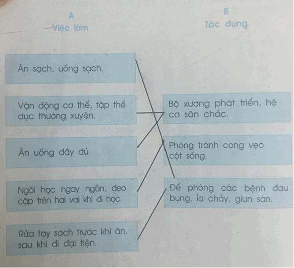 Giải Vở bài tập Tự nhiên và xã hội 2 bài 10