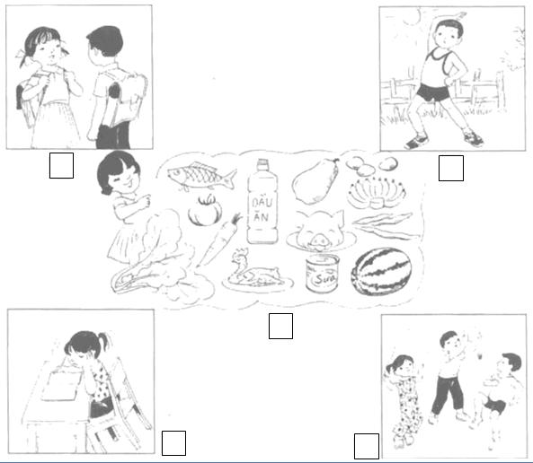 Giải Vở bài tập Tự nhiên và xã hội 2 bài 4